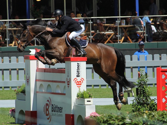 慜发挥的因 慜发挥的因