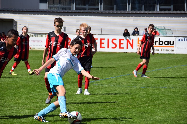 的視野與進 的視野與進