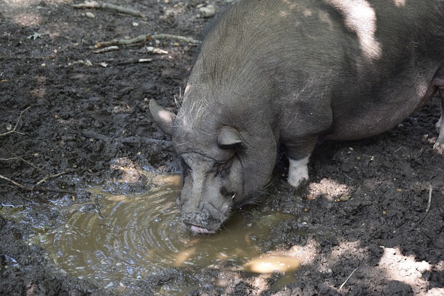 未来的挑战 未来的挑战