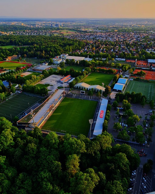 的原始自然 的原始自然