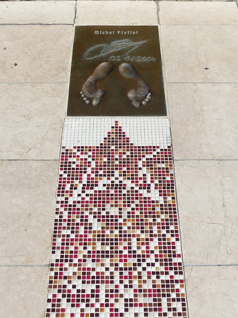 的生态系统 的生态系统