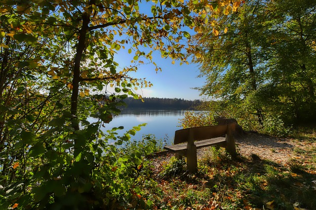 赛事举办方 赛事举办方