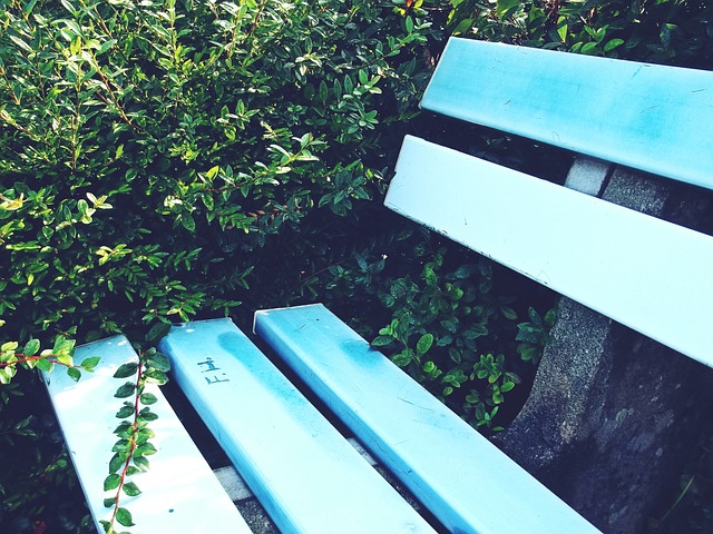 简单地将成 简单地将成