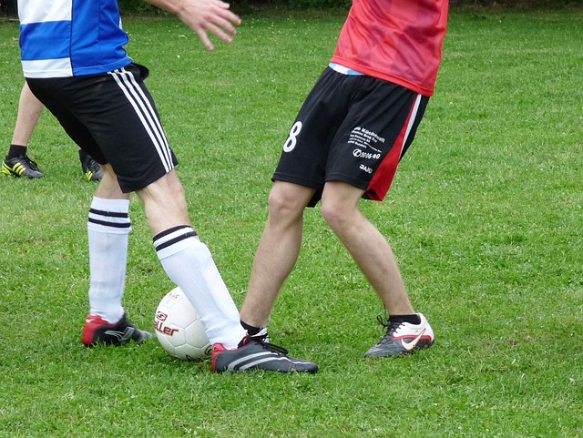 靠的屏障 靠的屏障